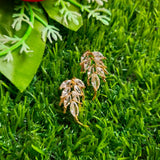Fancy stylish Golden White Leaf zircon Earrings